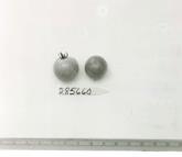 Click for 1 image(s) for this accession. FRUIT